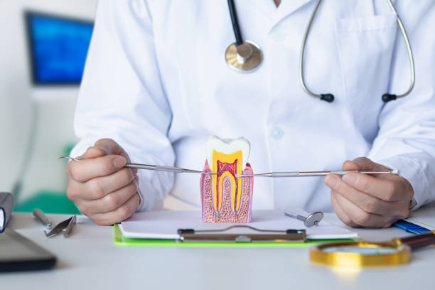 Best Emergency Root Canal Treatment in Long Prairie, MN